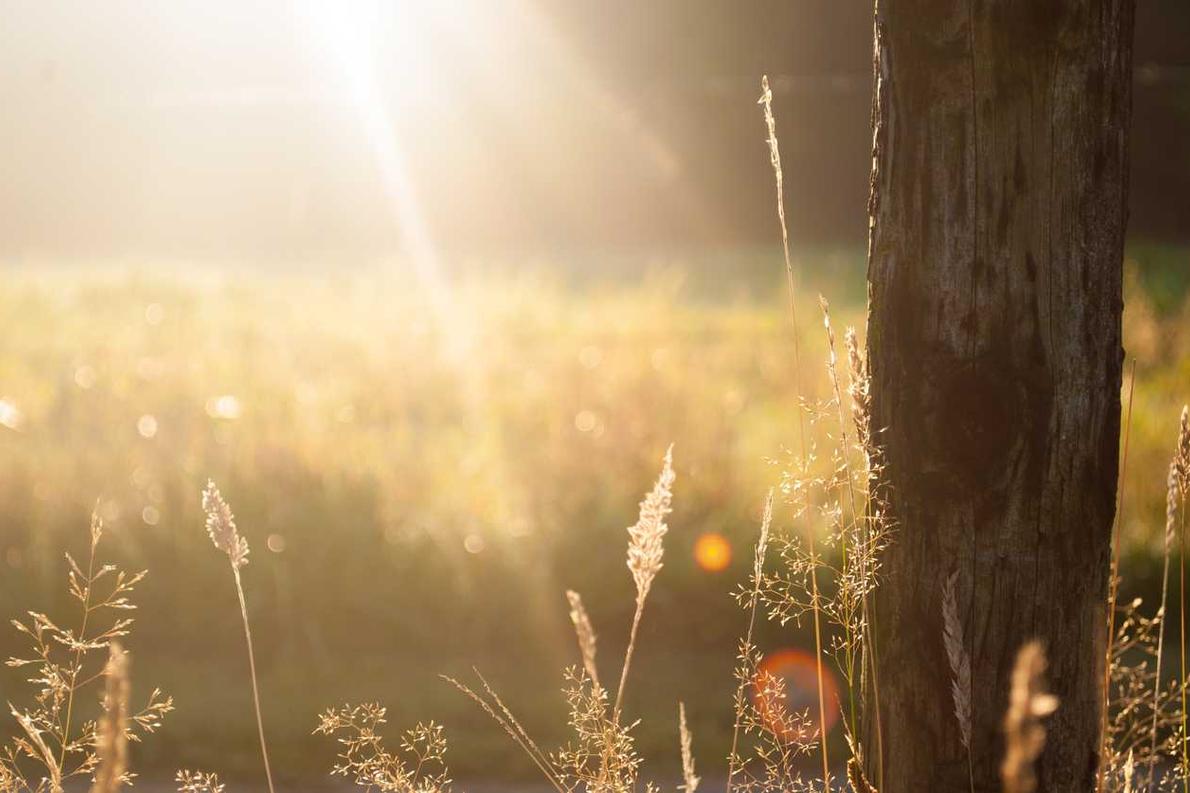 Nihil velit dolor voluptatem