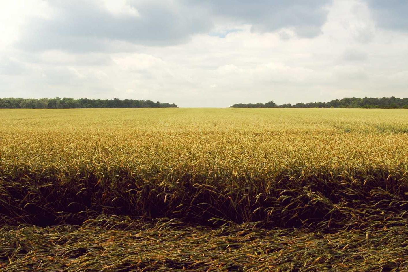 Quasi sint laudantium vel consequatur dignissimos in